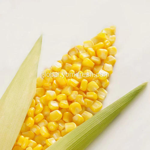 Boiled Sweet Corn Kernels Sweet Corn Kernels Factory